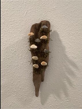 Driftwood Art, Driftwood & Seashell Mushrooms , Mushroom Art